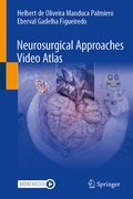 Abbildung von: Neurosurgical Approaches Video Atlas - Springer