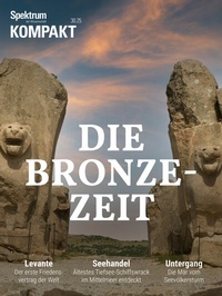 Abbildung von: Spektrum Kompakt - Bronzezeit - Spektrum der Wissenschaft