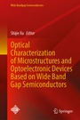Cover: Optical Characterization of Microstructures and Optoelectronic Devices Based on Wide Band Gap Semiconductors - Springer