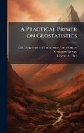 Cover: A Practical Primer on Geostatistics - Hutson Street Press