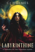 Cover: Labyrinthine - City Owl Press
