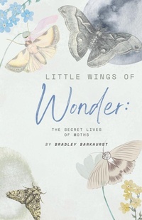 Abbildung von: Little Wings of Wonder - Bradley Barkhurst