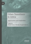 Cover: Urban Transitions in Africa - Palgrave Macmillan