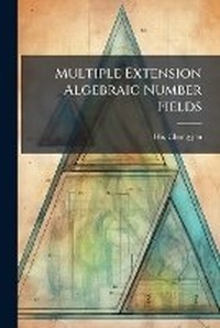 Abbildung von: Multiple Extension Algebraic Number Fields - Hutson Street Press