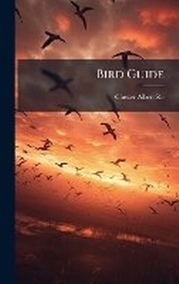 Enlarge image Cover: Bird Guide - Hutson Street Press