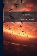 Cover: Bird-life - Hutson Street Press