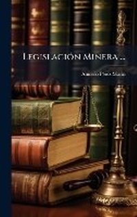 Bild: LegislaciA3n Minera ... - Hutson Street Press