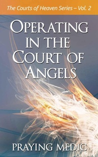Enlarge image Cover: Operating in the Court of Angels - Inkity Press