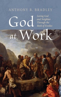 Enlarge image Cover: God at Work - Wipf and Stock Publishers