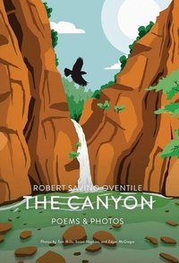Enlarge image Cover: The Canyon - Atmosphere Press