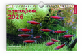 Cover: aquaristik 2026 - D&auml;hne Verlag