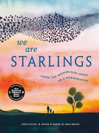 Enlarge image Cover: We Are Starlings - Random House Studio
