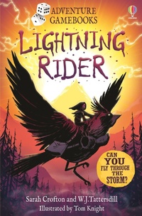 Enlarge image Cover: Lightning Rider - Usborne Publishing Ltd