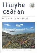 Cover: Llwybr Cadfan - O Dywyn i Ynys Enlli - Cyhoeddiadau'r Gair