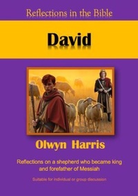Enlarge image Cover: David - Reading Stones Publishing