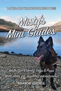 Cover: Misty's Mini Guides - Pixel Tweaks Publications