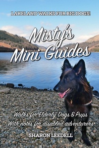 Enlarge image Cover: Misty's Mini Guides - Pixel Tweaks Publications