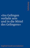 Cover: &raquo;Ins Gelingen verliebt sein und in die Mittel des Gelingens&laquo; - Suhrkamp