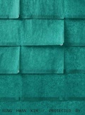 Cover: Sung Hwan Kim. Protected by roof and right hand muscles - K&ouml;nig, Walther