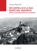 Cover: Un castello e la sua gente nel Medioevo. Storia di Castelnuovo val di Cecina - Tempi & luoghi;Felici