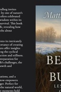 Cover: Beneath the Burrow - Matthew Edward Petchinsky