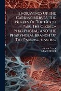 Cover: Engravings Of The Cardiac Nerves, The Nerves Of The Ninth Pair, The Glosso-pharyngeal, And The Pharyngeal Branch Of The Pneomo-gastric - Hutson Street Press