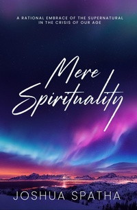 Abbildung von: Mere Spirituality - Morgan James Publishing