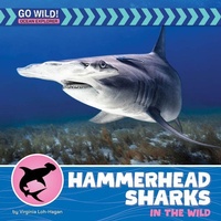 Enlarge image Cover: Hammerhead Sharks in the Wild - Cherry Lake Publishing