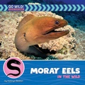 Cover: Moray Eels in the Wild - Cherry Lake Publishing
