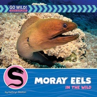 Enlarge image Cover: Moray Eels in the Wild - Cherry Lake Publishing
