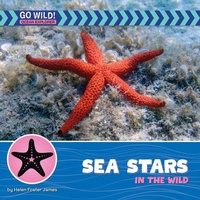 Enlarge image Cover: Sea Stars in the Wild - Cherry Lake Publishing