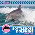 Cover: Bottlenose Dolphins in the Wild - Cherry Lake Publishing