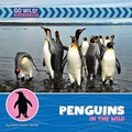 Cover: Penguins in the Wild - Cherry Lake Publishing