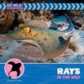 Cover: Rays in the Wild - Cherry Lake Publishing