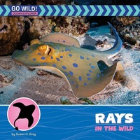 Enlarge image Cover: Rays in the Wild - Cherry Lake Publishing