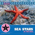 Cover: Sea Stars in the Wild - Cherry Lake Publishing