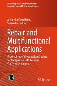 Enlarge image Cover: Repair and Multifunctional Applications - Springer