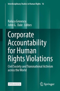 Enlarge image Cover: Corporate Accountability for Human Rights Violations - Springer