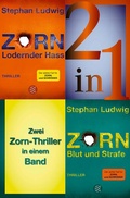 Cover: Lodernder Hass / Blut und Strafe - Zwei Zorn-Thriller in einem Band - Fischer Taschenbuch