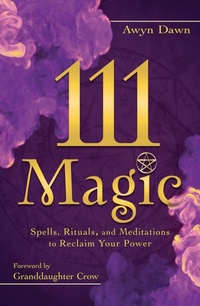 Enlarge image Cover: 111 Magic - Llewellyn Publications