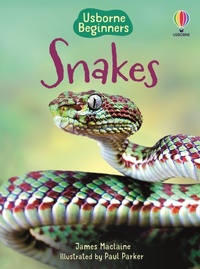 Abbildung von: Snakes - Usborne Publishing Ltd