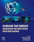 Cover: AI Below the Surface - Elsevier