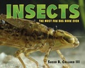 Cover: Insects - Charlesbridge