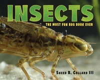 Enlarge image Cover: Insects - Charlesbridge