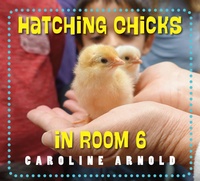 Enlarge image Cover: Hatching Chicks in Room 6 - Charlesbridge