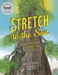 Enlarge image Cover: Stretch to the Sun - Charlesbridge