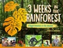 Cover: 3 Weeks in the Rainforest - Charlesbridge