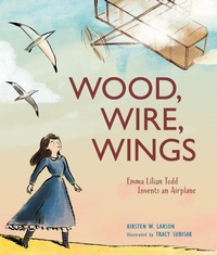 Abbildung von: Wood, Wire, Wings - Calkins Creek