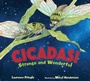 Cover: Cicadas! - Astra Publishing House