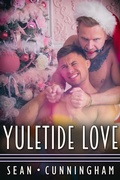 Cover: Yuletide Love - JMS Books LLC